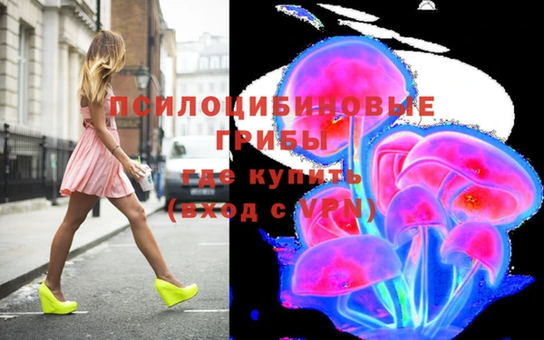 дурь Балахна