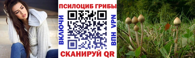 Псилоцибиновые грибы ЛСД  закладки  мега онион  Гусь-Хрустальный 