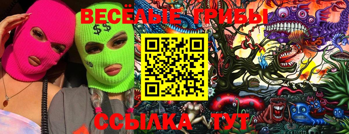 Гусь-Хрустальный  Псилоцибиновые грибы мицелий  Вход с VPN 