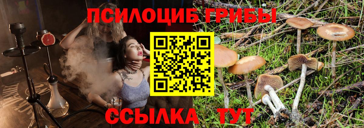Галлюциногенные грибы мухоморы  Гусь-Хрустальный  дарнет шоп  Псилоцибиновые грибы ЛСД 