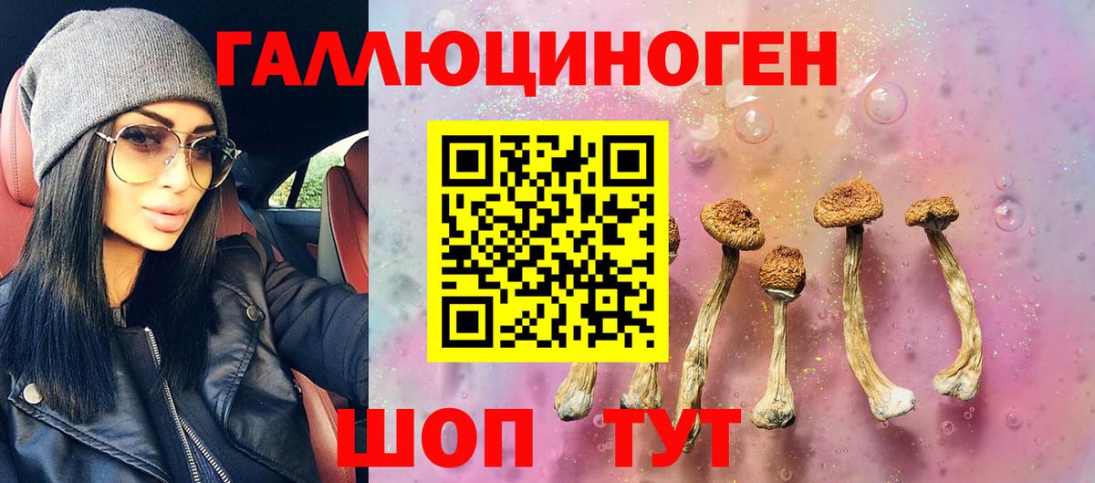 Гашиш Гусь-Хрустальный